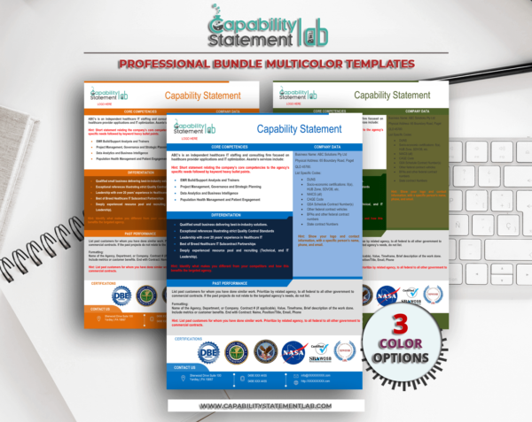 Consultancy Capability Statement Template