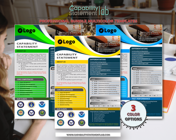 Attractive Capability Statement Template